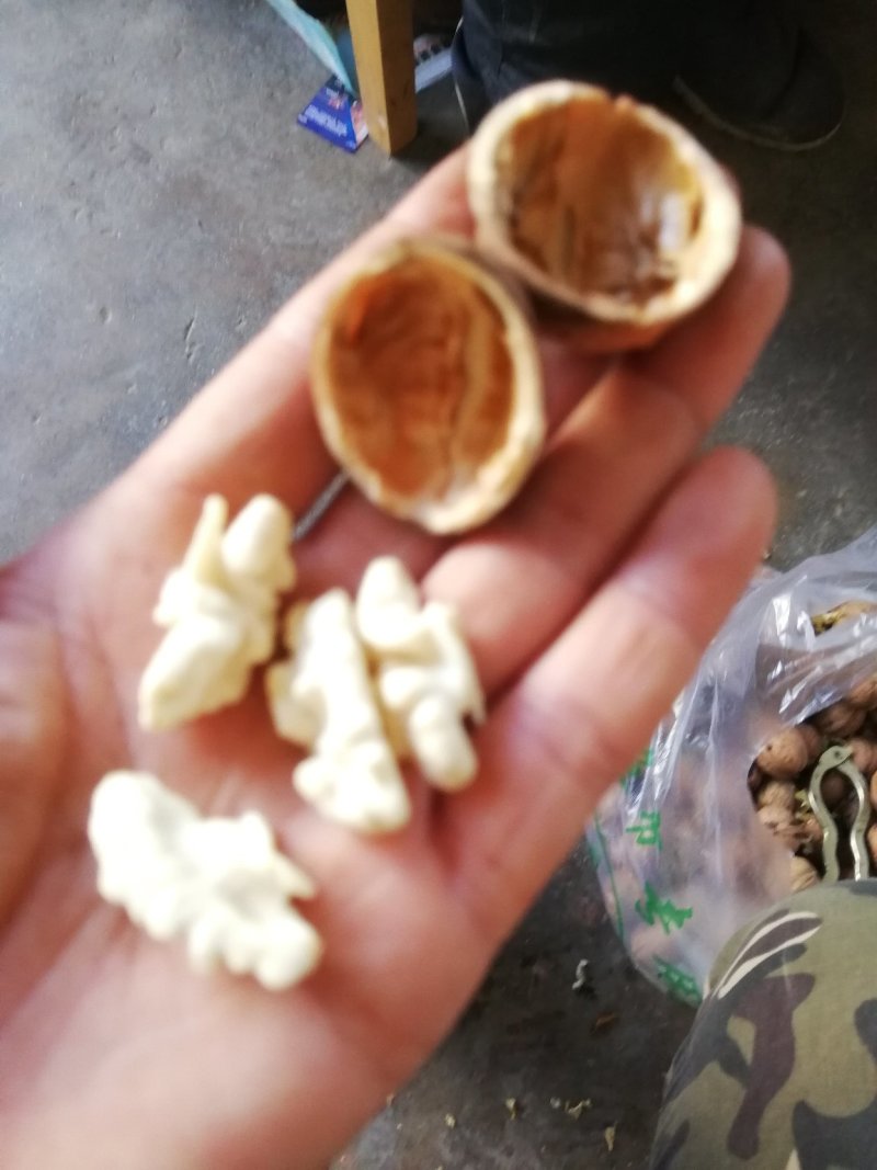 陕西香玲嫩核桃