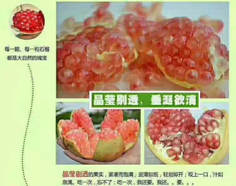 蒙自石榴种植户直供