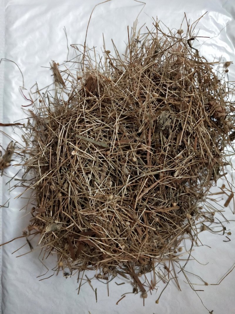 谷精草一公斤包邮量大从优全株干货