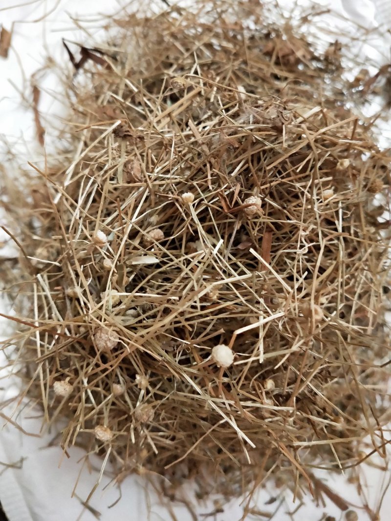 谷精草一公斤包邮量大从优全株干货