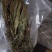 包邮见血清一公斤起卖干货
