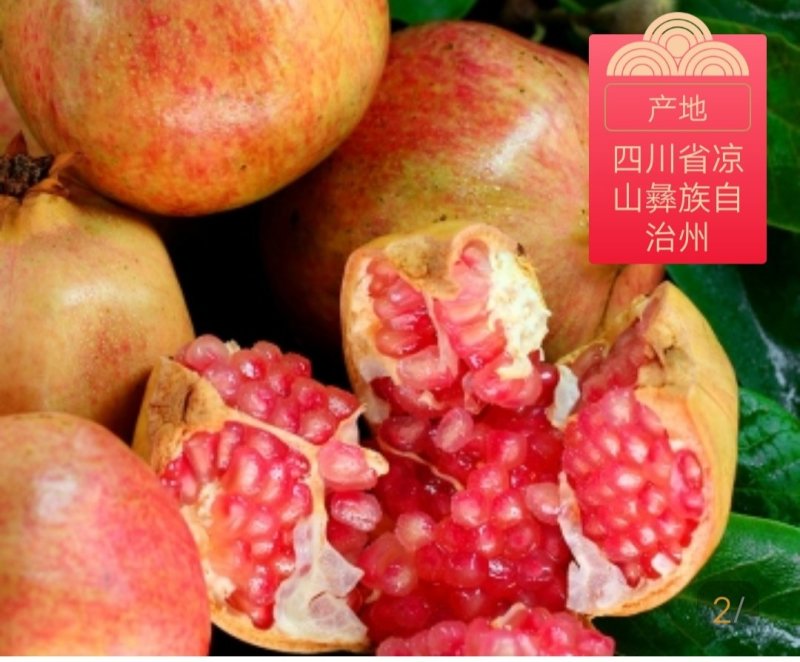 会理软籽石榴产地直售/果大皮薄酸甜可口一件代发全国包邮