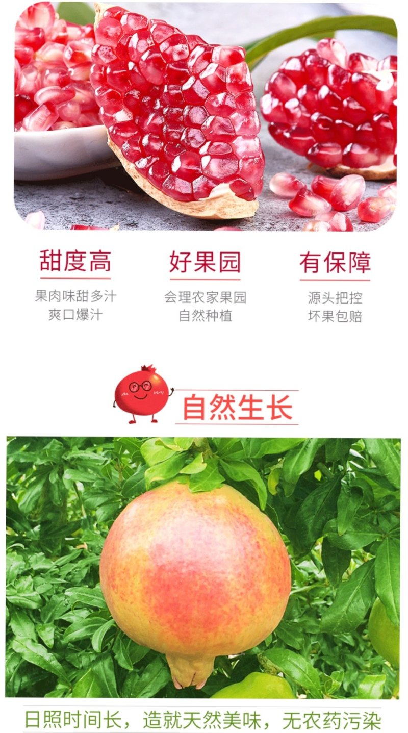 会理软籽石榴产地直售/果大皮薄酸甜可口一件代发全国包邮