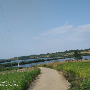 种植养殖水面出租
