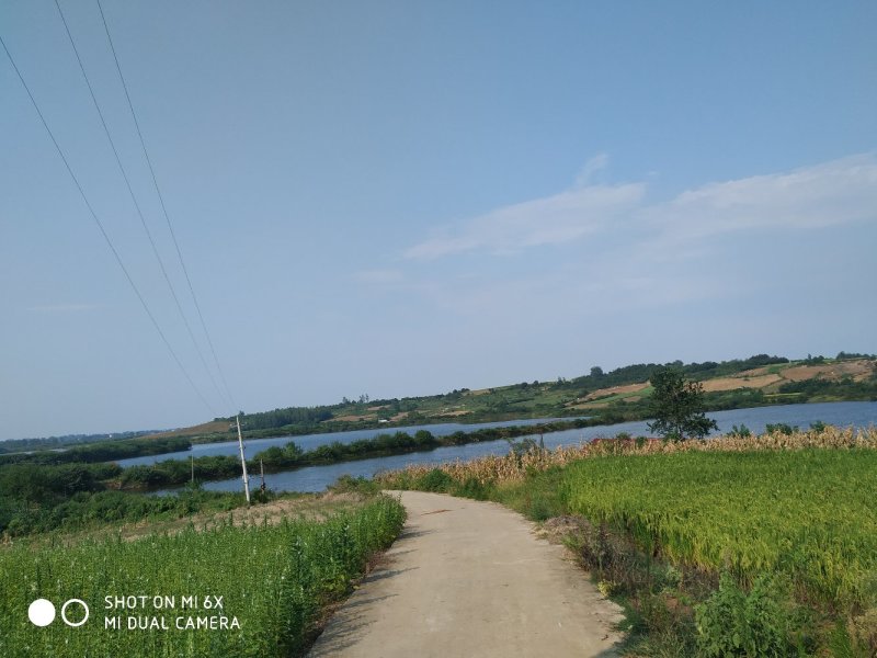 种植养殖水面出租