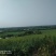 种植养殖水面出租