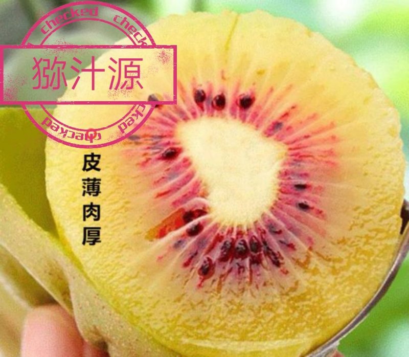 乐兴红心猕猴桃马上上市，一手代办，诚信互惠！