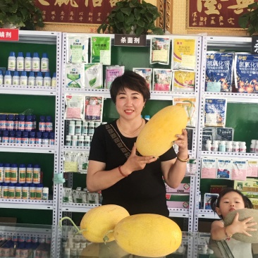 哈密瓜西州蜜