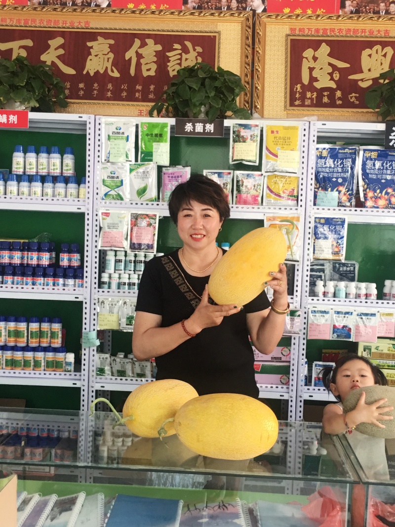 哈密瓜西州蜜