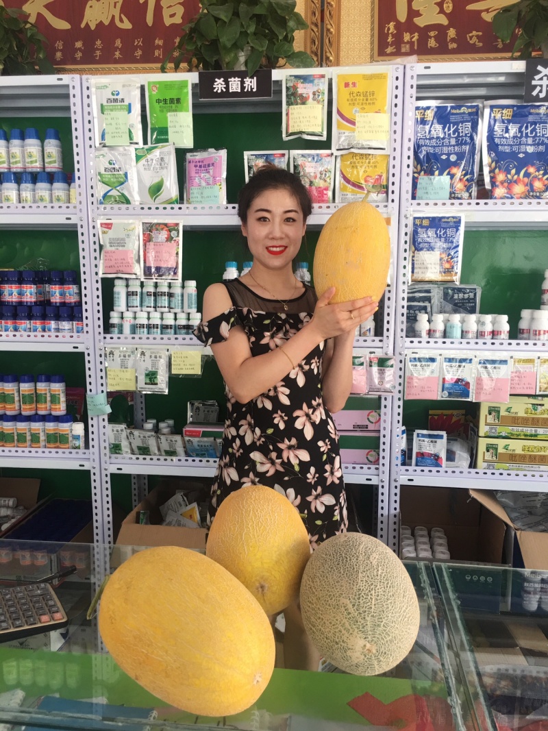 哈密瓜西州蜜