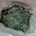 贵州铜仁野生金鸡脚干货鸭脚草干品鸭跖草阴干金鸡爪色绿无杂