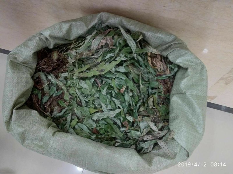 贵州铜仁野生金鸡脚干货鸭脚草干品鸭跖草阴干金鸡爪色绿无杂