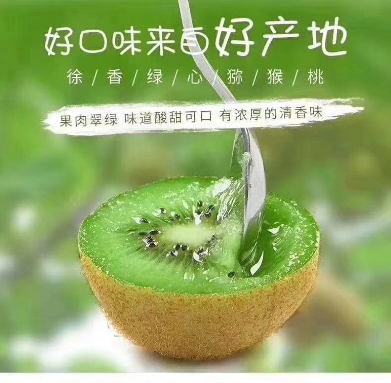 徐香猕猴桃产地直供