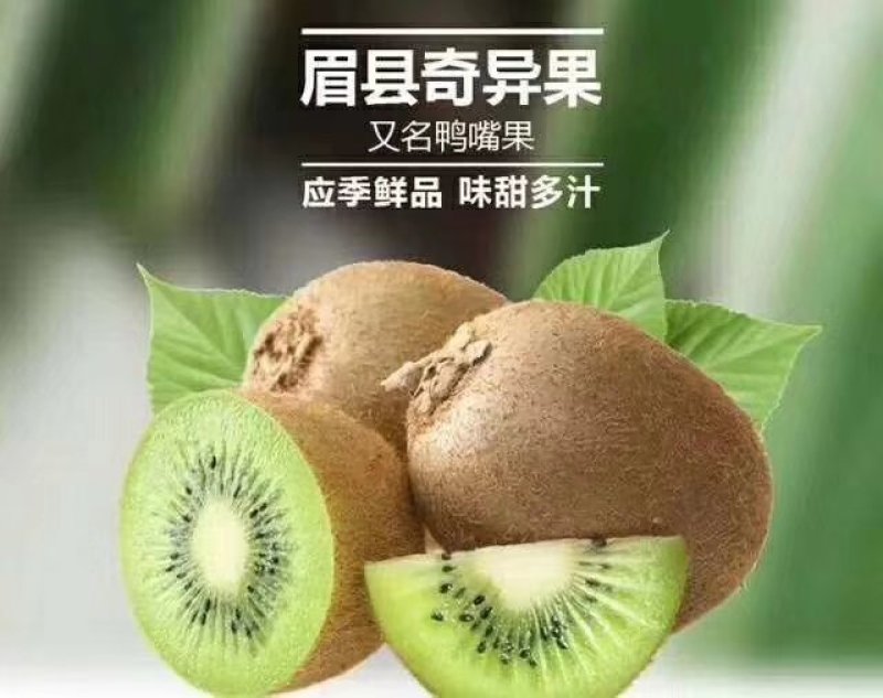 徐香猕猴桃产地直供