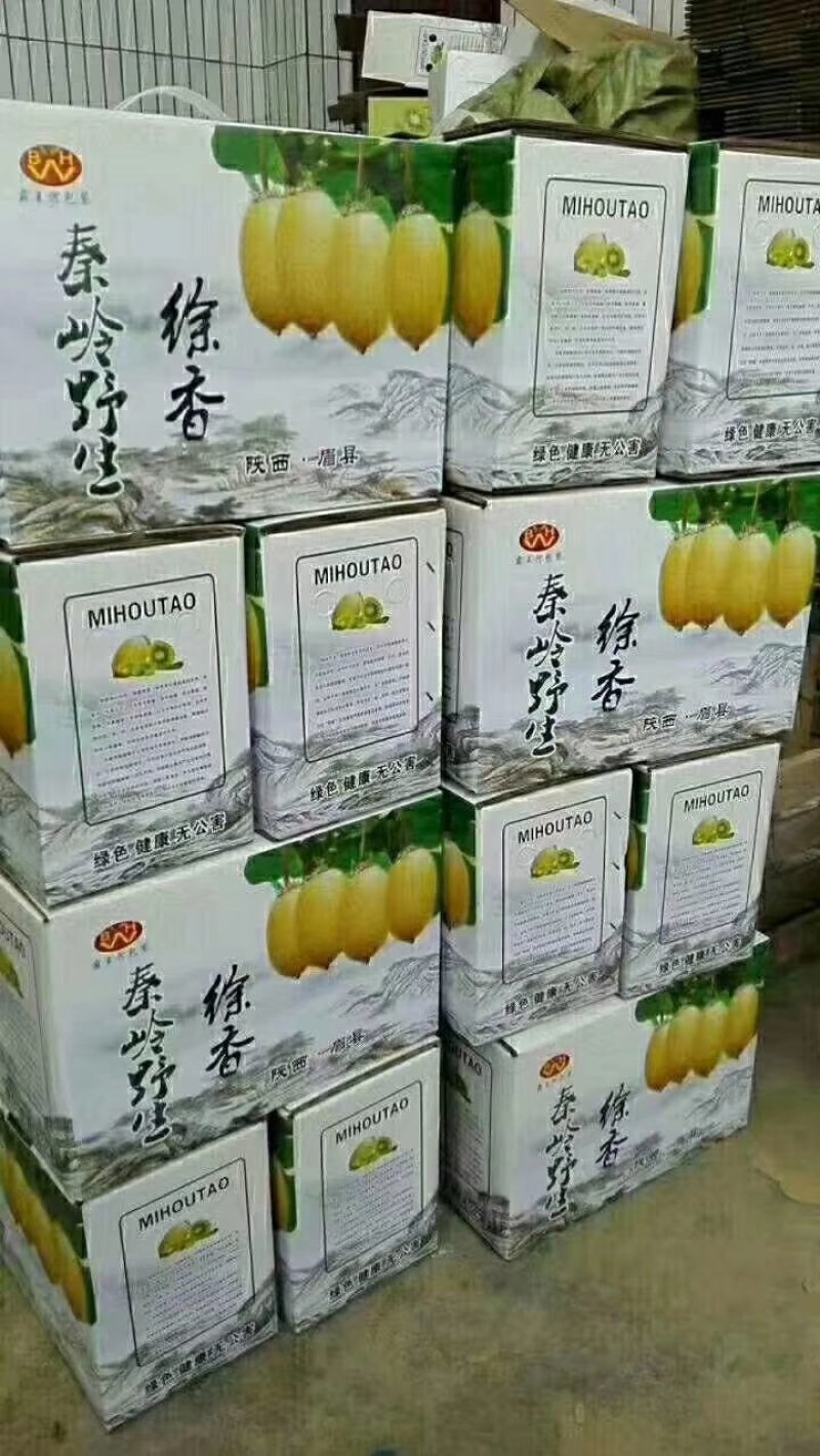 徐香猕猴桃产地直供