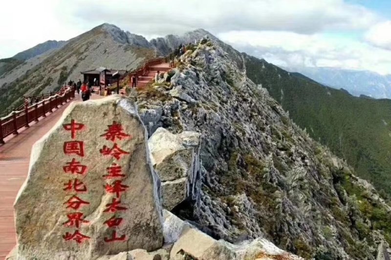 徐香猕猴桃产地直供