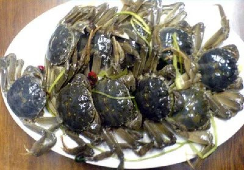 精品优质盘锦稻田河蟹大闸蟹基地直供全国发货