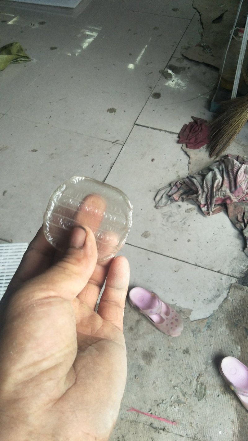 红薯粉皮厂家直销质量好