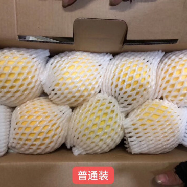 炎陵黄桃10斤装包邮
