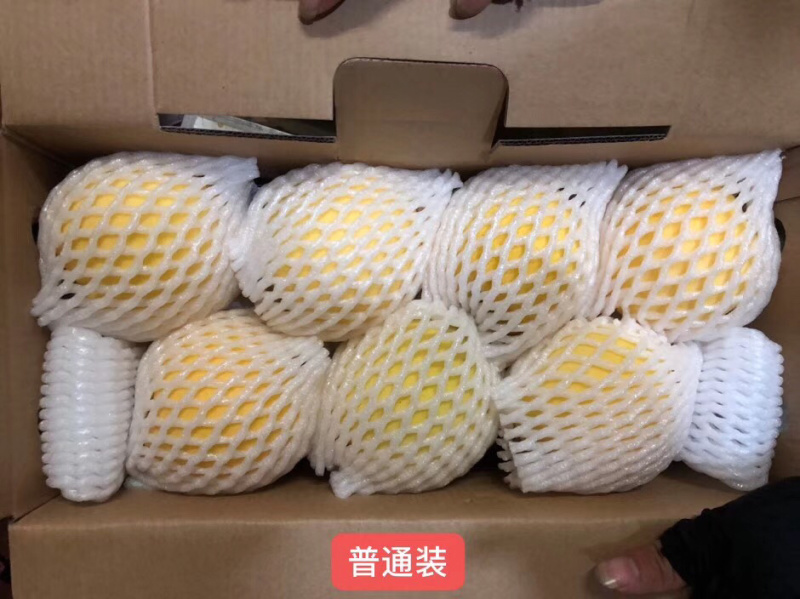 炎陵黄桃10斤装包邮