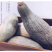 新疆贵族南瓜，口感香甜细腻，板栗味道浓郁，真正的瓜王