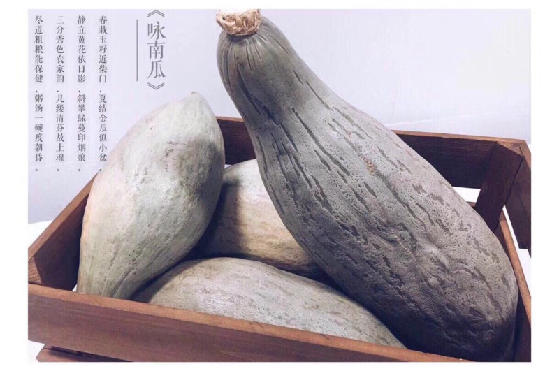 新疆贵族南瓜，口感香甜细腻，板栗味道浓郁，真正的瓜王