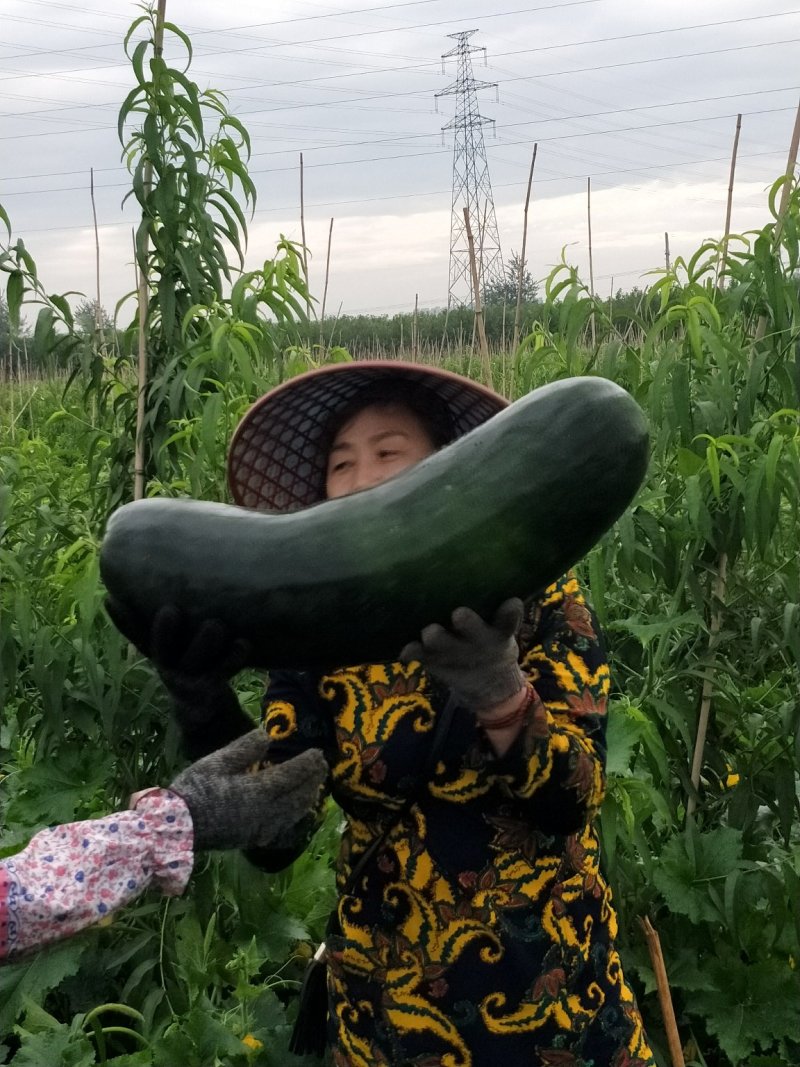 物美价廉