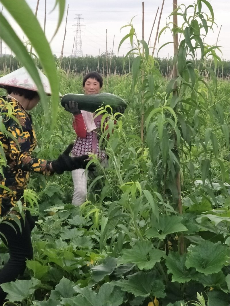 物美价廉