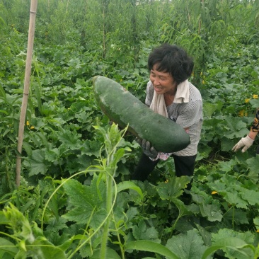 物美价廉