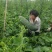 物美价廉