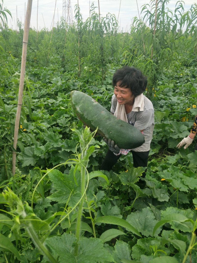物美价廉