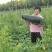 物美价廉