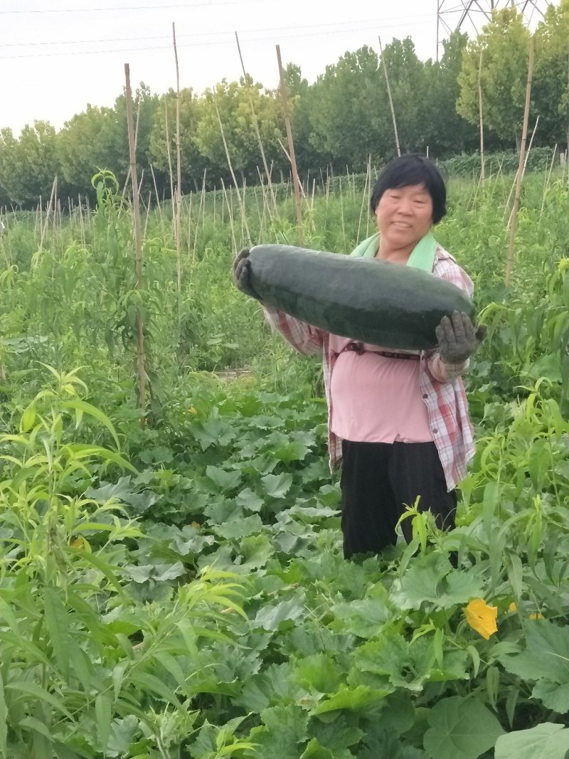 物美价廉
