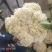 散花