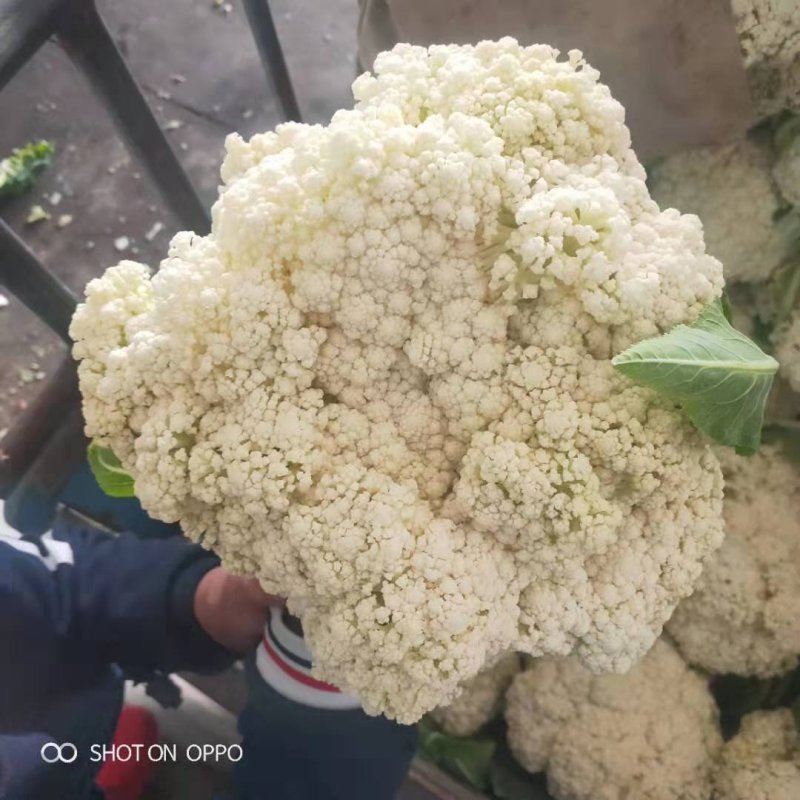散花