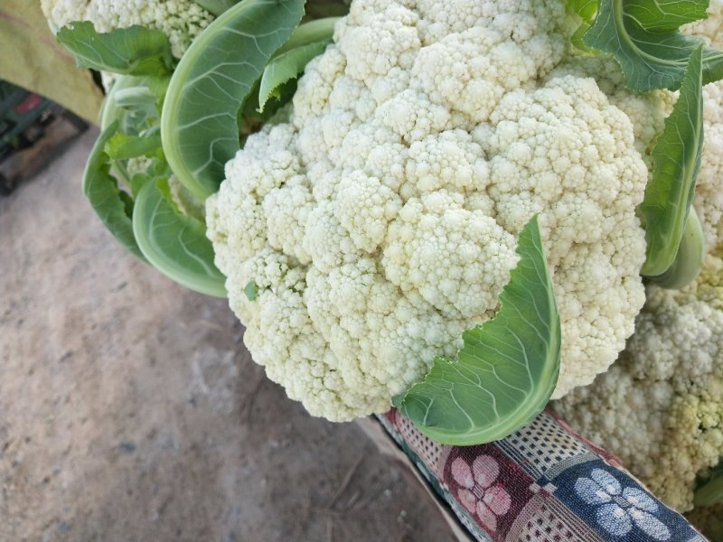 散花