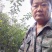 【李子苗】基地西梅蓝蜜李子苗包品种包成活山东李子苗