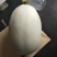 玉姑甜瓜，（白雪密甜瓜）山东惠民甜瓜基地，产地直销中！