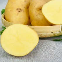 土豆网