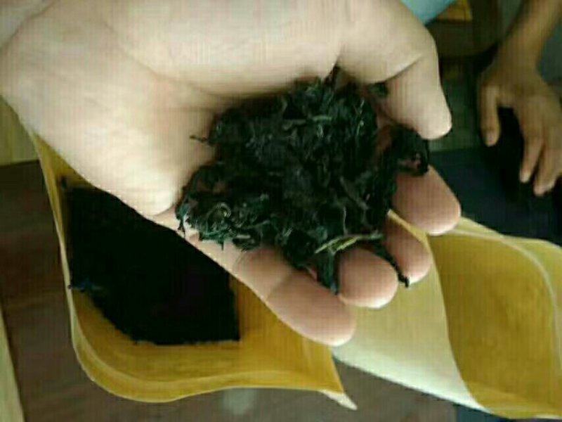 桑叶茶桑叶茶～3瓶100元包邮