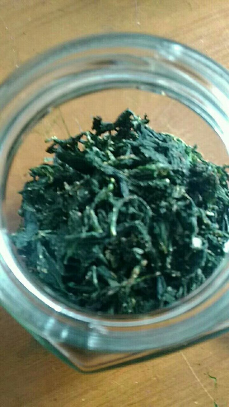 桑叶茶桑叶茶～3瓶100元包邮