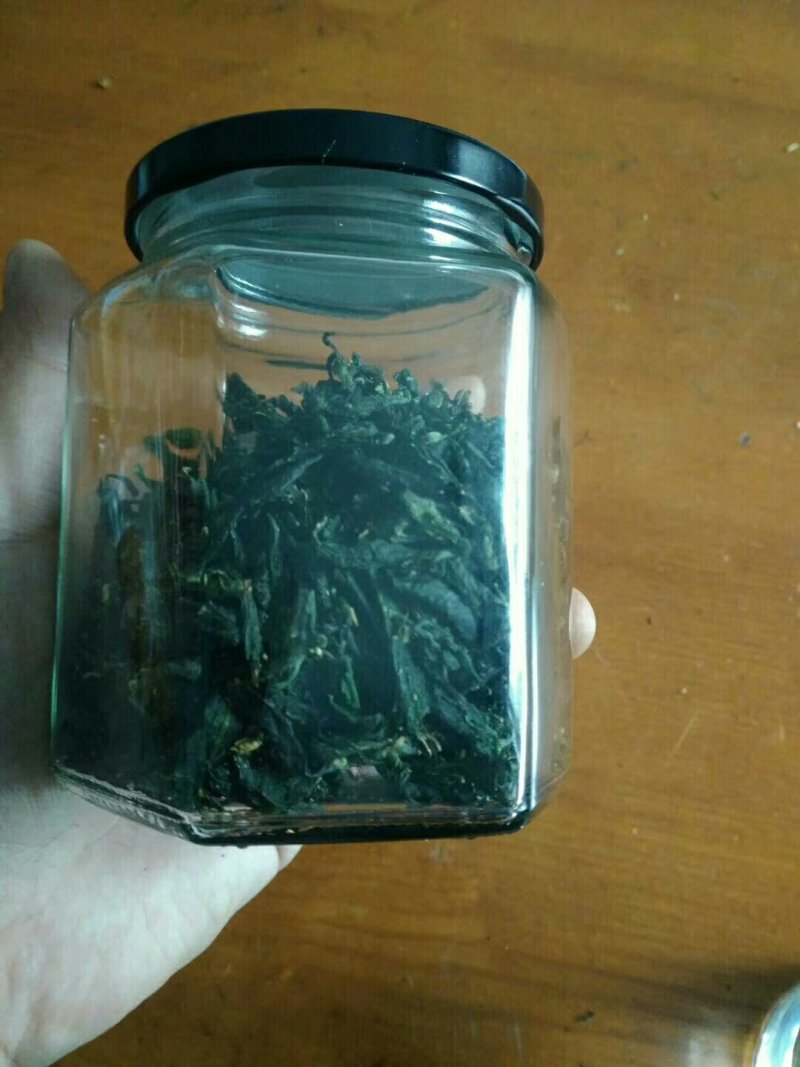 桑叶茶桑叶茶～3瓶100元包邮