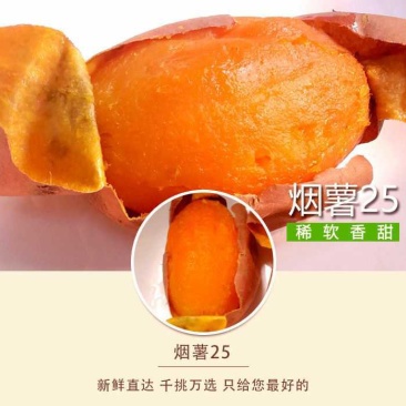 红薯
