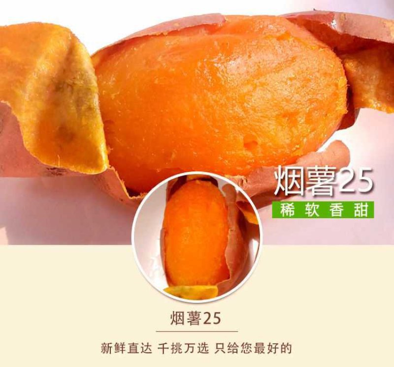 红薯