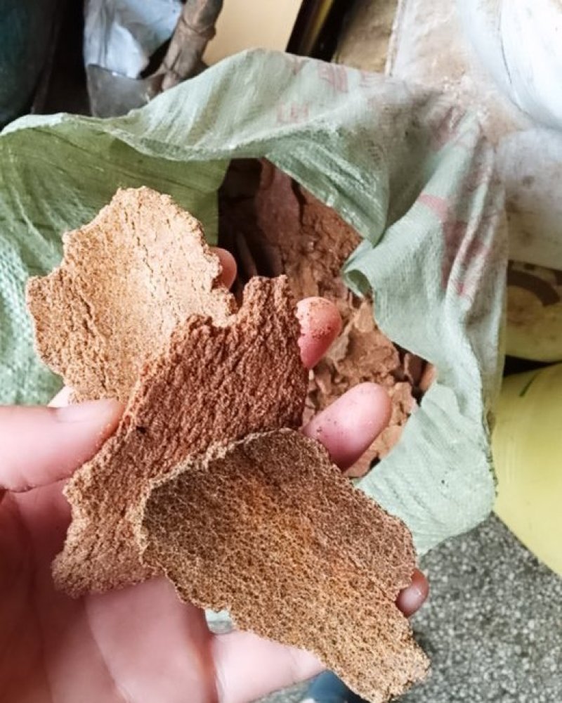 油菜籽，菜籽饼（自提）