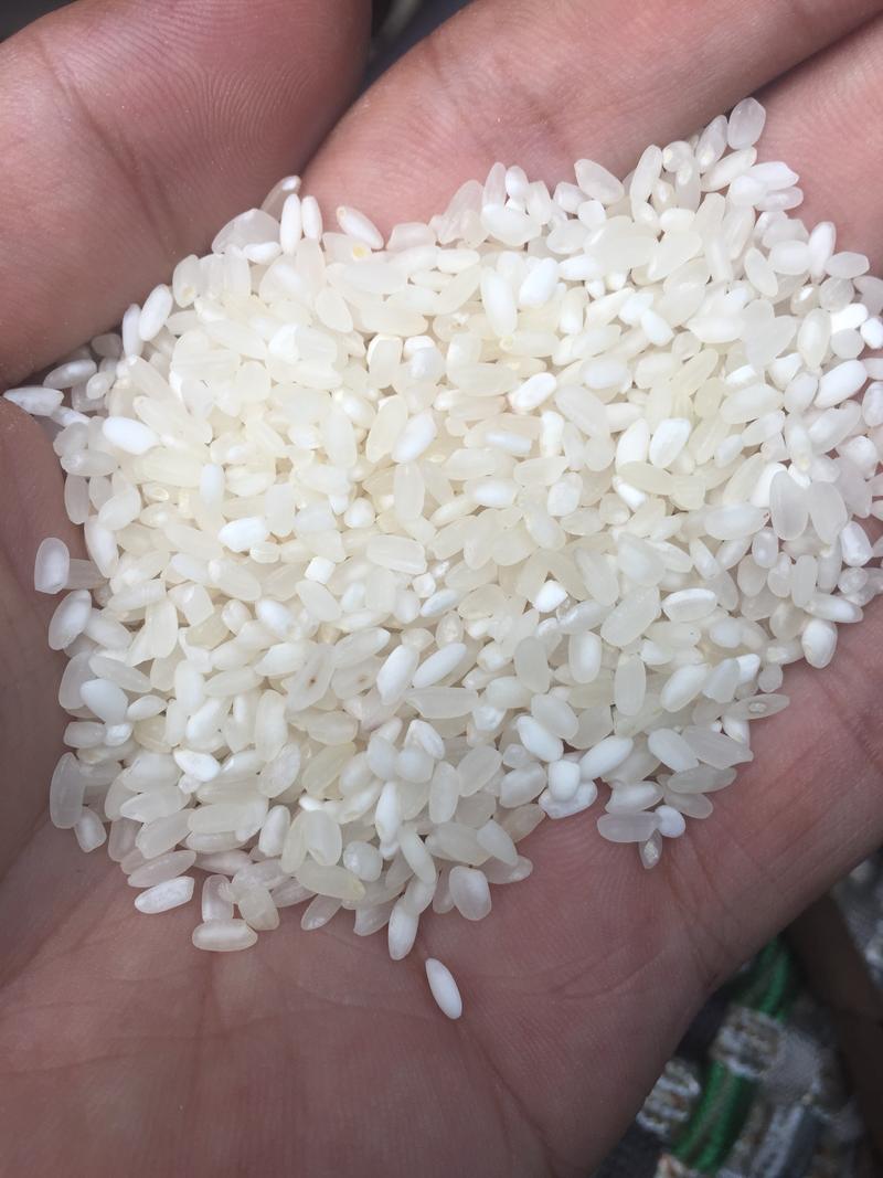 大米、长粒香白米
