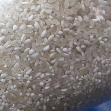 大米、长粒香白米