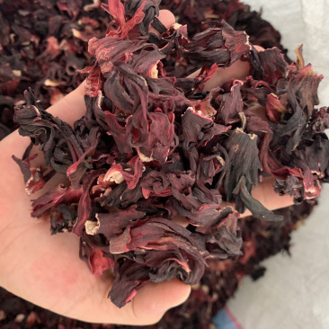 进口玫瑰茄大货，各种规格玫瑰茄，洛神花批发，红桃K