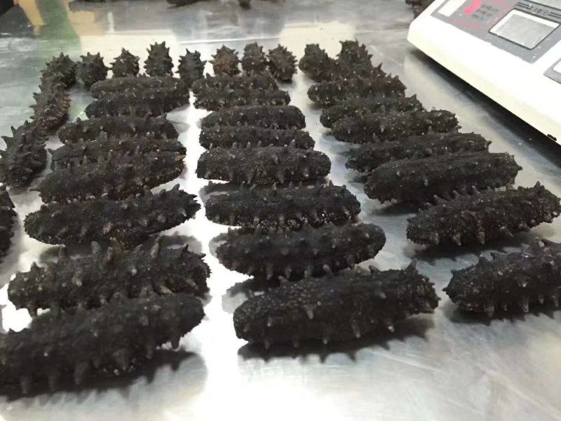 【精品】淡干海参干参刺参辽参大量现货全规格，质量有保证