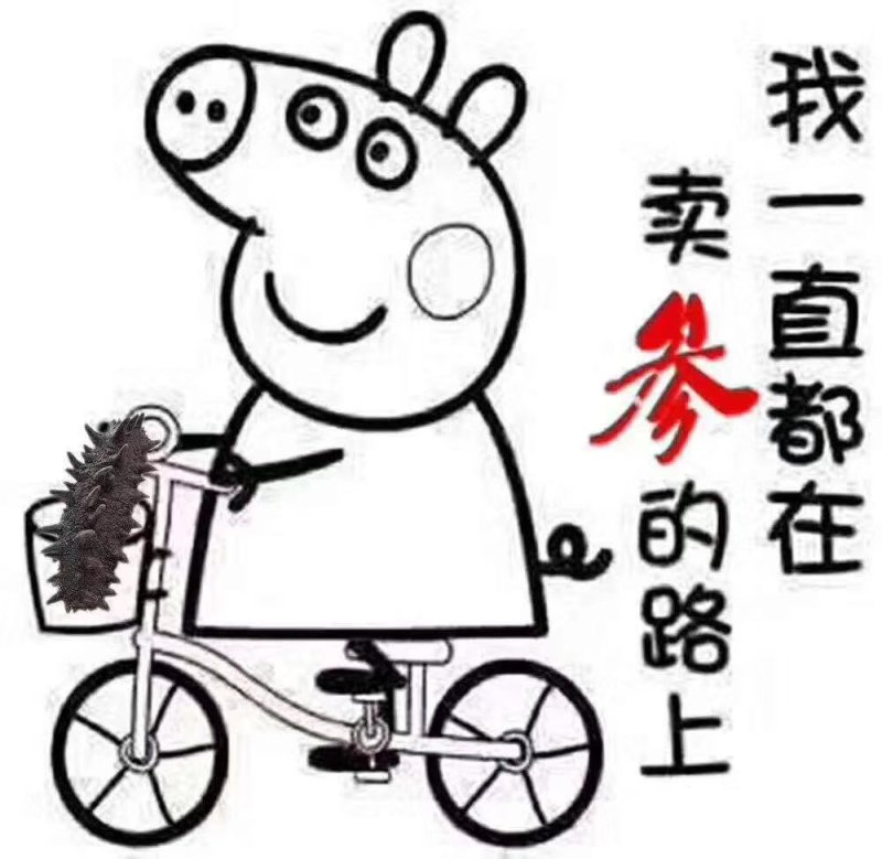 【精品】淡干海参干参刺参辽参大量现货全规格，质量有保证